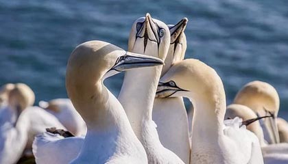 丽水24小时高价回收医保卡的最新政策(2025年丽水24小时高价回收医保卡电话分享)