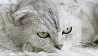 丽水高价上海医保提取2025的最新政策(2025年丽水上海医保怎么提取现金分享)