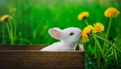 丽水急用钱24小时套医保卡深圳的最新政策(2025年丽水急用钱医保怎么搞出钱来分享)